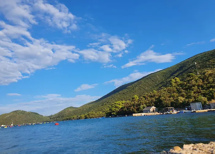 Appartamento Maslina